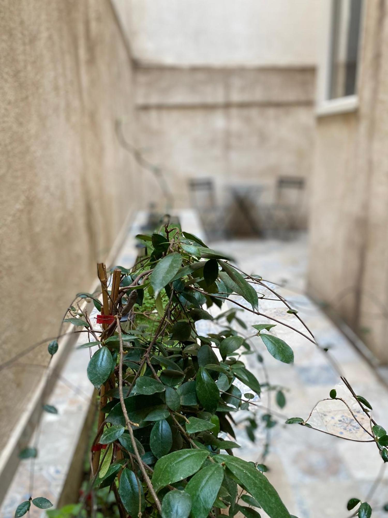 A Place 4 U Below Acropolis Appartement Athene Buitenkant foto
